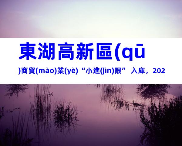 東湖高新區(qū)商貿(mào)業(yè)“小進(jìn)限” 入庫，2023年申報(bào)時(shí)間、條件